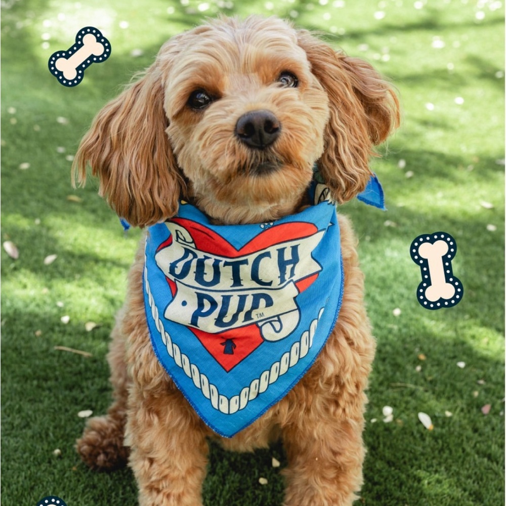 Dutch Bros Dog Bandana